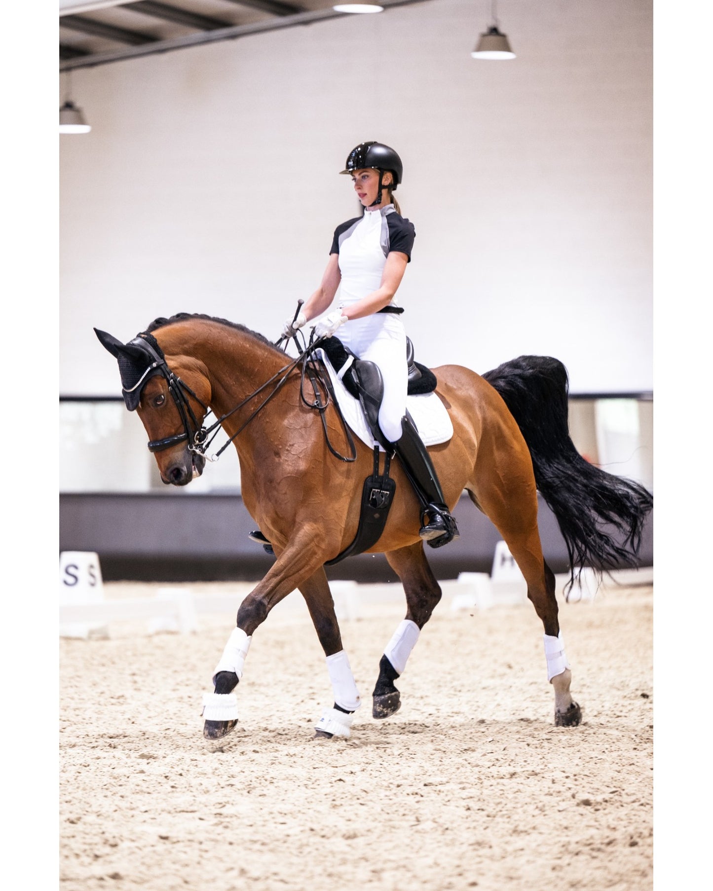 VALENTINA BREECHES